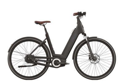 Premium Q MN8, Asphalt Black, Male